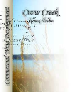Commercial Wind Development  Crow Creek Sioux Tribe  Business Advantages