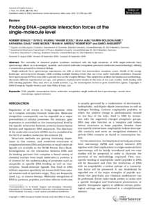 Probing DNA-peptide interaction forces at the single-molecule level