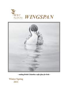 WINGSPAN  - making British Columbia a safer place for birds - Winter/Spring 2011