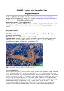 NOBANIS – Alien Invasive Species Fact Sheet – “Species name”