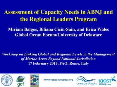 Assessment of Capacity Needs in ABNJ and the Regional Leaders Program Miriam Balgos, Biliana Cicin-Sain, and Erica Wales Global Ocean Forum/University of Delaware  Workshop on Linking Global and Regional Levels in the Ma