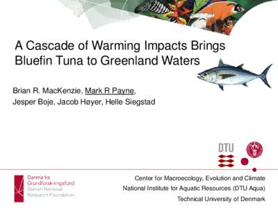 A Cascade of Warming Impacts Brings Bluefin Tuna to Greenland Waters Brian R. MacKenzie, Mark R Payne, Jesper Boje, Jacob Høyer, Helle Siegstad  Center for Macroecology, Evolution and Climate