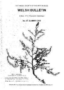 Dactylorhiza / Circaea / Fragaria