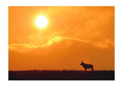 Liwonde National Park / Lake Malawi / Nyika National Park / Nyika Plateau / Liwonde / Malawi / Geography of Africa / Africa / Geography of Malawi