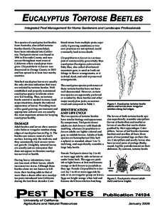 EUCALYPTUS TORTOISE BEETLES Integrated Pest Management for Home Gardeners and Landscape Professionals Two species of eucalyptus leaf beetles from Australia, also called tortoise beetles (family Chrysomelidae),