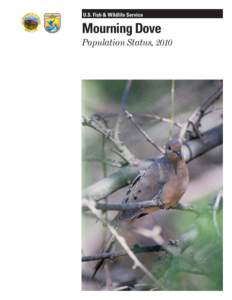 Columbidae / Mourning Dove / Breeding bird survey / Migratory Bird Treaty Act / Ornithology / Game birds / Zenaida