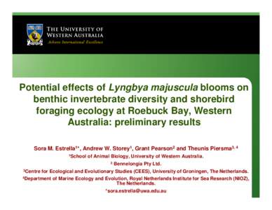 Potential effects of Lyngbya majuscula blooms on benthic invertebrate diversity and shorebird foraging ecology at Roebuck Bay, Western Australia: preliminary results Sora M. Estrella1*, Andrew W. Storey1, Grant Pearson2 