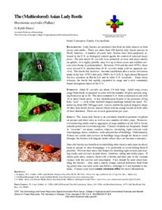 Agricultural pest insects / Biological pest control / Harmonia axyridis / Beetle / Harmonia / Aphid / Soybean aphid / Coccinellidae / Phyla / Protostome