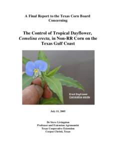 A Final Report to the Texas Corn Board Concerning The Control of Tropical Dayflower, Comelina erecta, in Non-RR Corn on the Texas Gulf Coast