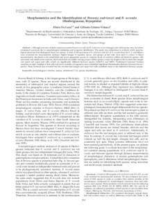 Systematic Botany (2008), 33(2): pp. 219–228 © Copyright 2008 by the American Society of Plant Taxonomists Morphometrics and the Identification of Braunia andrieuxii and B. secunda (Hedwigiaceae, Bryopsida) Efraı´n 