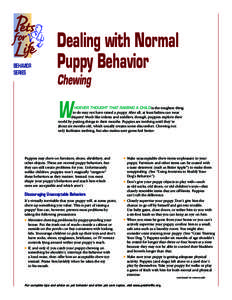 BEHAVIOR SERIES Dealing with Normal Puppy Behavior Chewing