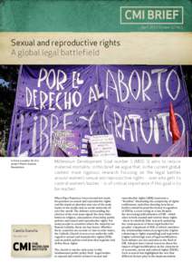 CMI BRIEF April 2013 Volume 12 No.1 Sexual and reproductive rights A global legal battlefield