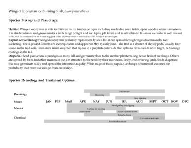 Winged Euonymus or Burning bush, Euonymus alatus Species Biology and Phenology: Habitat: Winged euonymus is able to thrive in many landscape types including roadsides, open fields, open woods and mature forests. It is sh