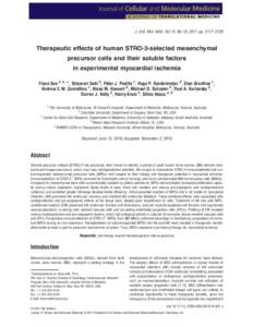 Therapeutic effects of human STRO3selected mesenchymal precursor cells and their soluble factors in experimental myocardial ischemia