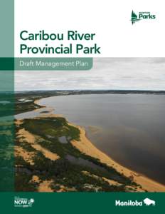 Barren-ground Caribou / Geography of Canada / Reindeer / Wilderness / Park / Provinces and territories of Canada / Ontario Parks / Caribou Wilderness / Zoology / Caribou River Provincial Park / Northern Region /  Manitoba