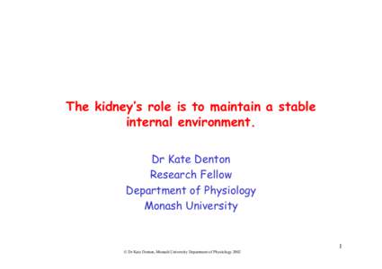 The kidney maintains a stable internal environment.