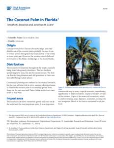 HS40  The Coconut Palm in Florida1 Timothy K. Broschat and Jonathan H. Crane2  •	 Scientific Name: Cocos nucifera Linn.