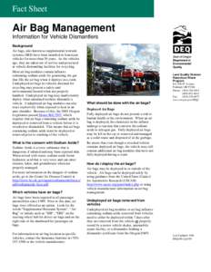 Air Bag Management Factsheet