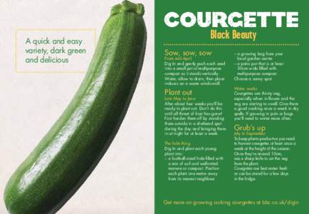 A quick and easy variety, dark green and delicious Black Beauty Sow, sow, sow