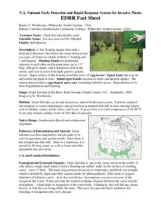 U.S. National Early Detection and Rapid Response System for Invasive Plants  EDRR Fact Sheet Randy G. Westbrooks, Whiteville, North Carolina. USA. Brittany Cartrette, Southeastern Community College. Whiteville, North Car