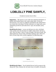Forest Health Protection, Southern Region  LOBLOLLY PINE SAWFLY, Neodiprion taedae linearis Ross Importance. - This species is one of the most important defoliators of loblolly and shortleaf pine in the south-central sta
