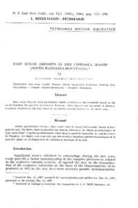 D. s. rnst. Geol.GeoJiz. vol.74ll (1987),1989,pag. 1?b-180 I. MIIiEII {tOGIE -PETITOLOGIE DETNOI,OGIA  I}ASE SURGE DEPOSITS III