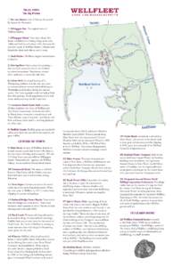 TRAIL  SITES The  Big  Picture 1) Port aux Huitres: Port of Oysters. So named by Samuel de Champlain 2) Billingsgate Bay: The original name of Wellfleet Harbor.