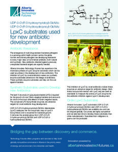 UDP-3-O-(R-3-hydroxymyristoyl)-GlcNAc UDP-3-O-(R-3-hydroxydecanoyl)-GlcNAc LpxC substrates used for new antibiotic development