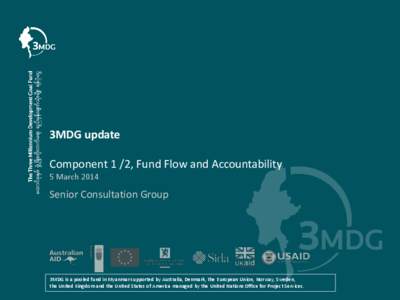 3MDG update Component 1 /2, Fund Flow and Accountability 5 March 2014 Senior Consultation Group