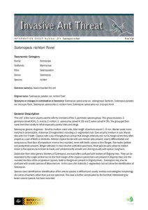 Information Sheet # 27 - Solenopsis richteri