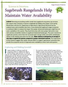 Basin and Range Province / Grouse / Sagebrush steppe / Rangeland / Centrocercus / Snow / Northern Basin and Range ecoregion / Artemisia tridentata