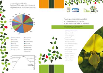 percentage distribution recommended in the new systems of vegetal species in the Vesuvius area For