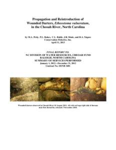 Propagation and Reintroduction of Wounded Darters, Etheostoma vulneratum, in the Cheoah River, North Carolina by M.A. Petty, P.L. Rakes, C.L. Ruble, J.R. Shute, and R.A. Xiques Conservation Fisheries, Inc. April 11, 2013