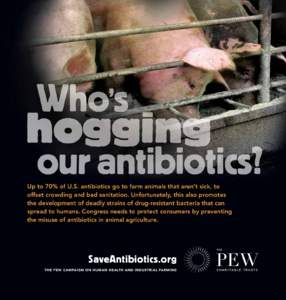 Up to 70% of U.S. antibiotics go to farm animals that aren’t sick, to offset crowding and bad sanitation. Unfortunately, this also promotes the development of deadly strains of drug-resistant bacteria that can spread t