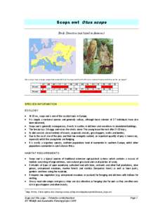 Microsoft Word - Otus scops factsheet - SWIFI.doc