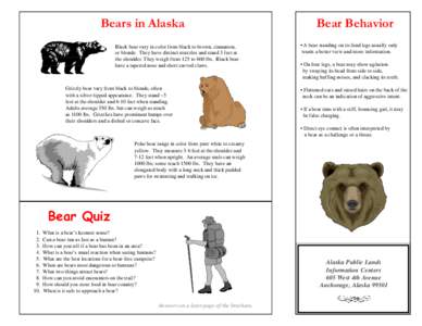 Bear danger / Bear attack / Polar bear / American black bear / Bear / Grizzly bear / Alaska / Brown bear / Kodiak bear / Bears / Zoology / Biology