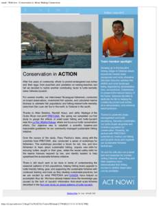 Bycatch / Marine resources conservation / Surfing / Sea turtles / Natural environment