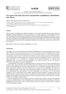 New species of the snake eels Echelus and Ophichthus (Anguilliformes: Ophichthidae) from Taiwan