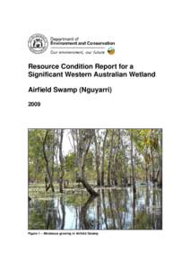 RCM011 Arfield Swamp Condition Report