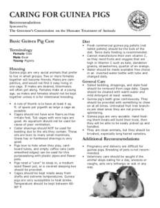 CARING FOR GUINEA PIGS Recommendations Sponsored by The Governor’s Commission on the Humane Treatment of Animals