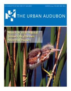 The newsletter of New York City Audubon SUMMERVolume XXXV No.2