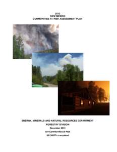 2013 NEW MEXICO COMMUNITIES AT RISK ASSESSMENT PLAN ENERGY, MINERALS AND NATURAL RESOURCES DEPARTMENT FORESTRY DIVISION