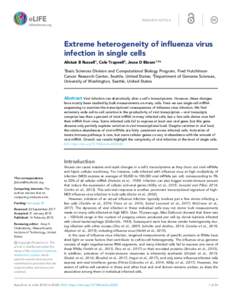 RESEARCH ARTICLE  Extreme heterogeneity of influenza virus infection in single cells Alistair B Russell1, Cole Trapnell2, Jesse D Bloom1,2* 1