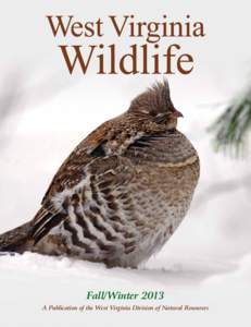 Fall/Winter 2013 A Publication of the West Virginia Division of Natural Resources Wild Perspective  New Mapping Tool on