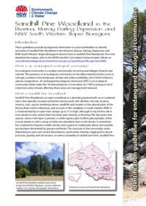 Sandhill Pine Woodland in the Riverina, Murray Darling Depression and NSW Western Slopes Biorigions – identification guidelines for the endangered ecological communities