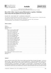 Bees of the Colletes clypearis-group (Hymenoptera: Apoidea: Colletidae) from China with descriptions of seven new species