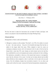 EIGHTH SESSION OF THE OPEN WORKING GROUP OF THE GENERAL ASSEMBLY ON SUSTAINABLE DEVELOPMENT GOALS New York, 3 – 7 February 2014 Statement of H.E. Mr. Andrea Orlando Minister for the Environment, Land and Sea of Italy