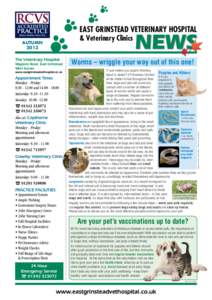 EAST GRINSTEAD VETERINARY HOSPITAL & Veterinary Clinics NEWS  The Veterinary Hospital