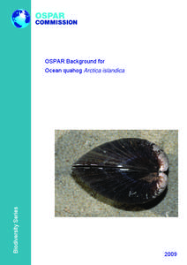 Microsoft Word - P00407_Ocean_quahog.doc