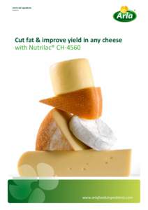 Arla Foods Ingredients Bulletin 1  Cut fat & improve yield in any cheese